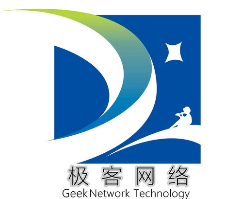 福建极客网络科技 技术驱动创新，数字赋能未来