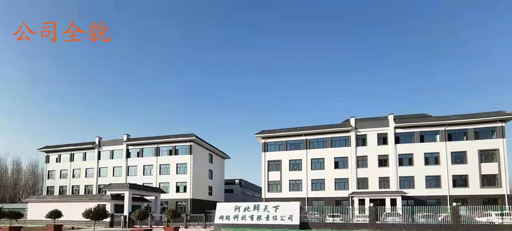 河北鲜天下网络科技有限责任公司"年供应160万吨生鲜食品项目"